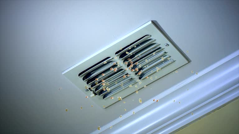 Best Commercial HVAC Duct Cleaning  in Bay City, TX